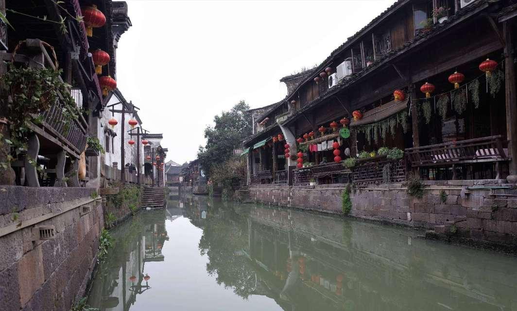 遇见福建:樱花绽放引游人